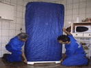 transportes e mudanças